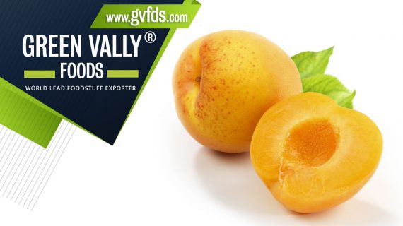 green valley foods bestlead foodstuff exporter in the world apricot halves