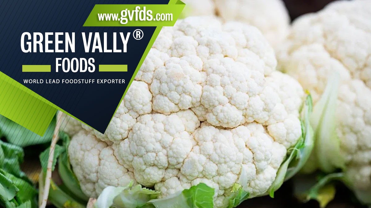 green valley foods bestlead foodstuff exporter in the world cauliflower