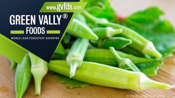 green valley foods bestlead foodstuff exporter in the world okra
