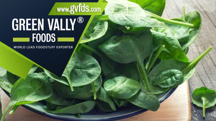 green valley foods bestlead foodstuff exporter in the world spinach