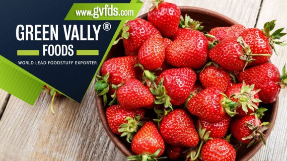 green valley foods bestlead foodstuff exporter in the world strawberries
