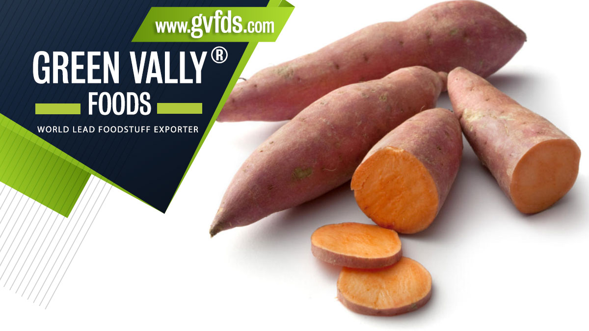 green valley foods bestlead foodstuff exporter in the world sweet potatoes