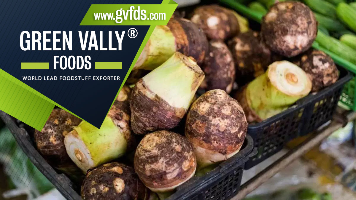 green valley foods bestlead foodstuff exporter in the world taro colocasia