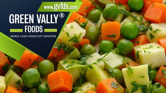 green valley foods bestlead foodstuff exporter in the world vegetable soup